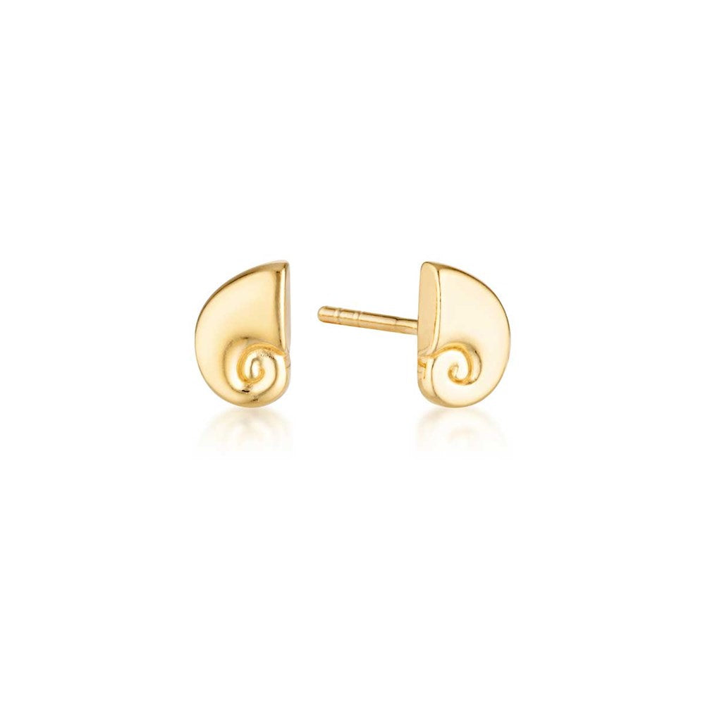 Nautilus Stud Earrings - Gold