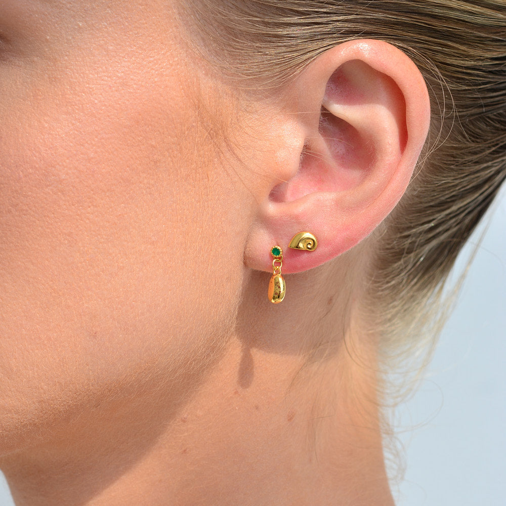 Nautilus Stud Earrings - Gold
