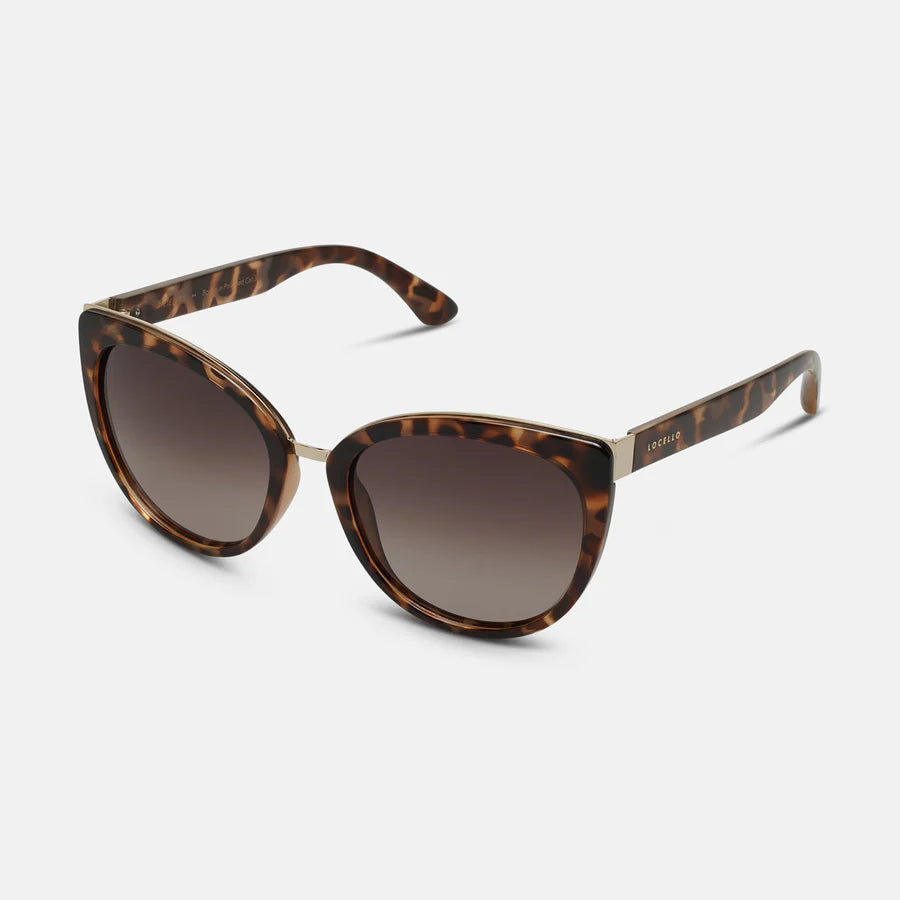 Paris Tortoiseshell