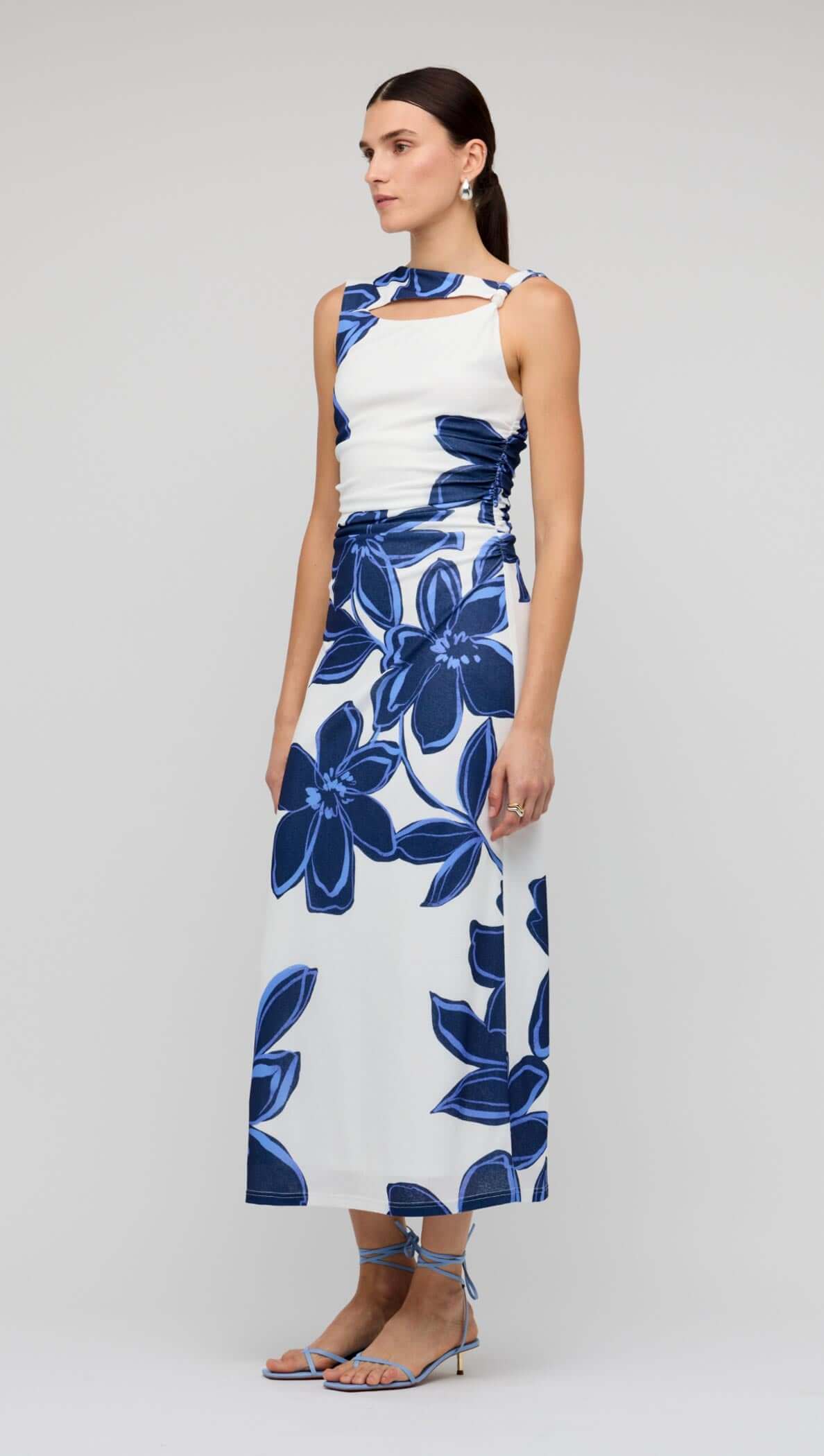 Ethos Mesh Midi Dress- Blue & White Floral