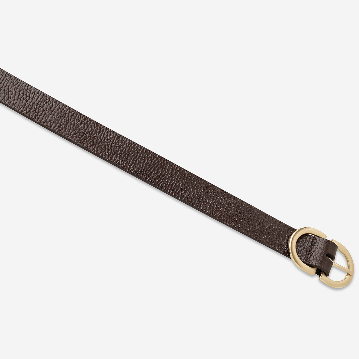 In Reverse Belt - Choc/Gold