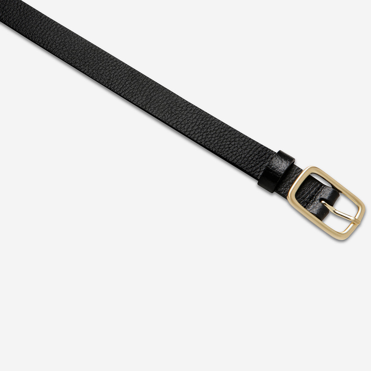 Nobody's Fault - Black/Gold