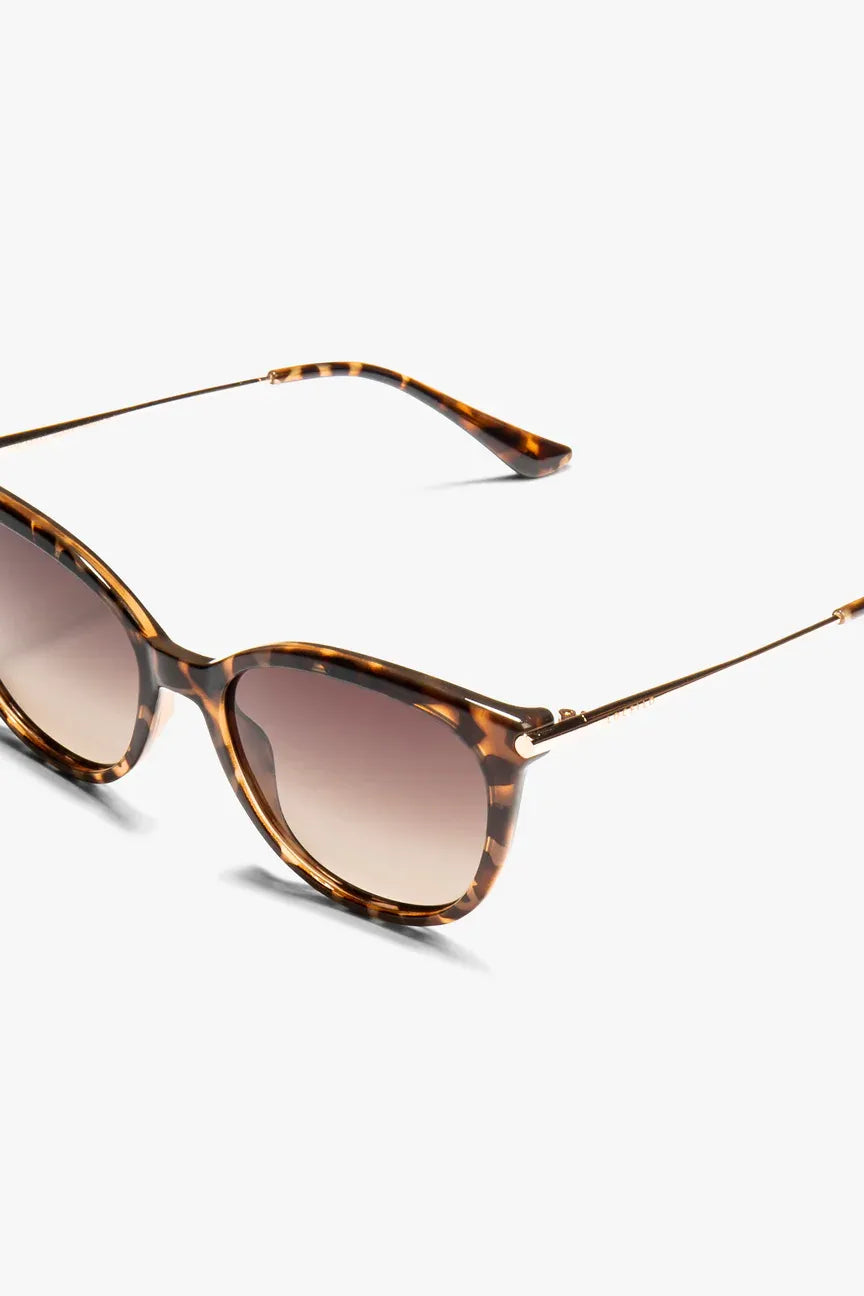 Ashley - Tortoiseshell