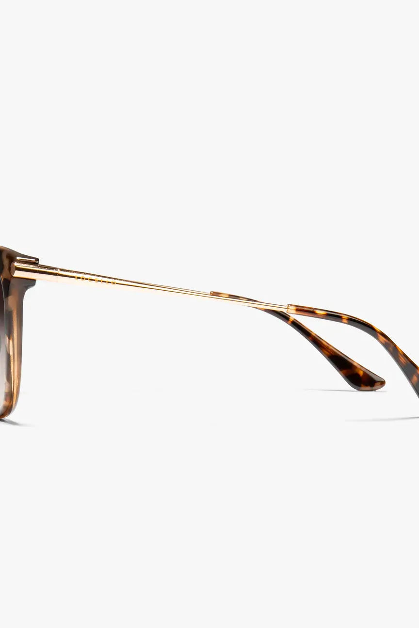 Ashley - Tortoiseshell