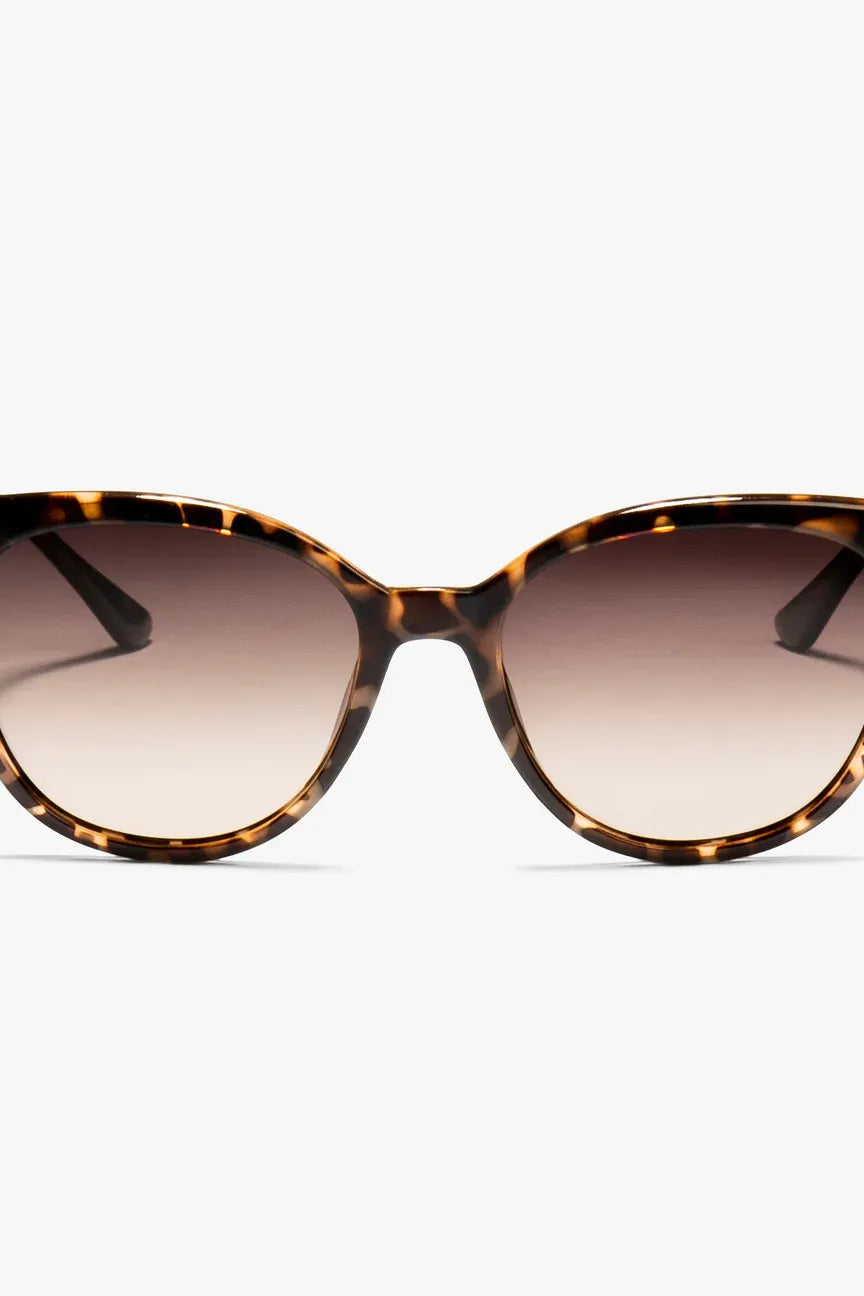 Ashley - Tortoiseshell