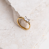 Zirconia Ring - Gold - The Sorella Store